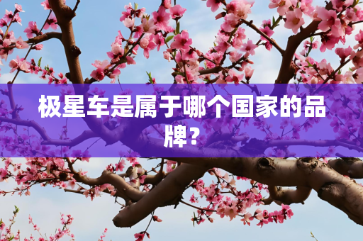 极星车是属于哪个国家的品牌？