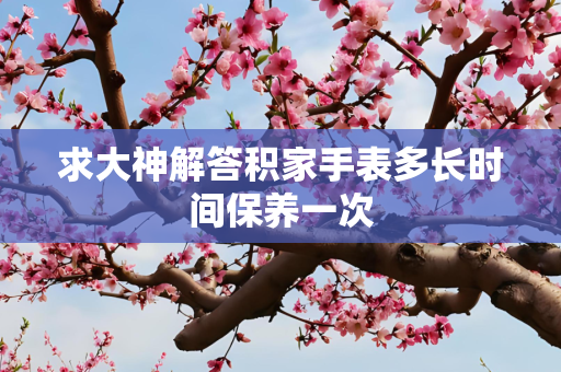 求大神解答积家手表多长时间保养一次
