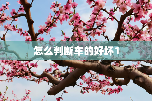 怎么判断车的好坏1