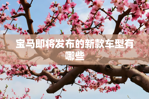 宝马即将发布的新款车型有哪些