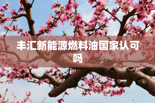 丰汇新能源燃料油国家认可吗