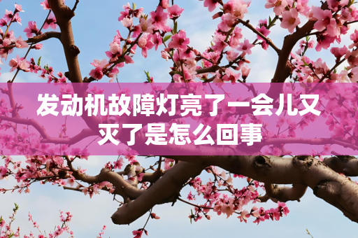 发动机故障灯亮了一会儿又灭了是怎么回事
