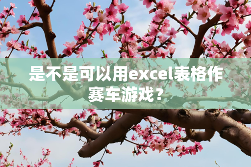 是不是可以用excel表格作赛车游戏？