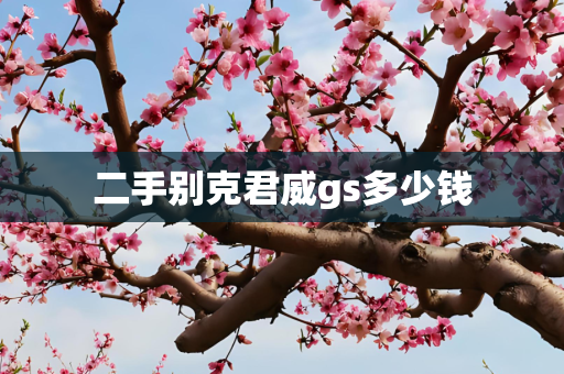 二手别克君威gs多少钱