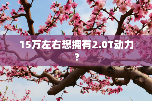 15万左右想拥有2.0T动力？