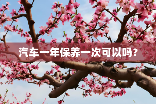 汽车一年保养一次可以吗？