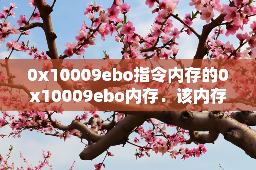0x10009ebo指令内存的0x10009ebo内存．该内存不能为read什么意思？