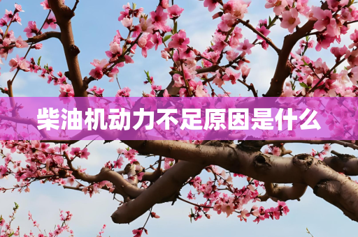 柴油机动力不足原因是什么