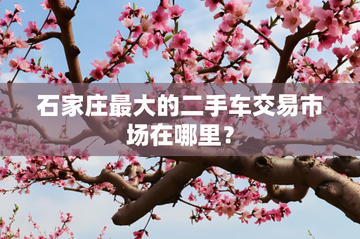 石家庄最大的二手车交易市场在哪里？