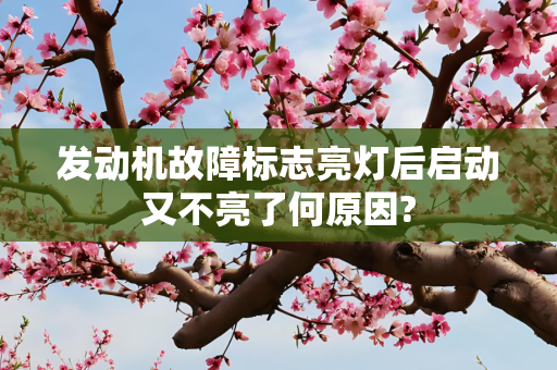 发动机故障标志亮灯后启动又不亮了何原因?
