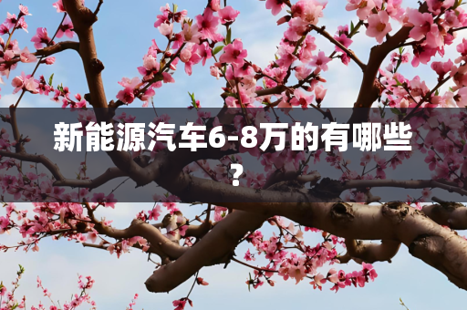 新能源汽车6-8万的有哪些？
