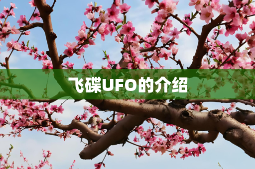 飞碟UFO的介绍