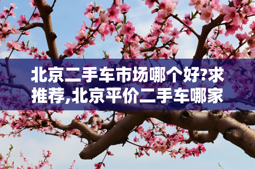 北京二手车市场哪个好?求推荐,北京平价二手车哪家好