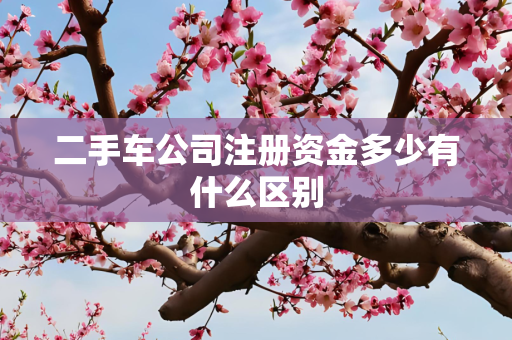 二手车公司注册资金多少有什么区别