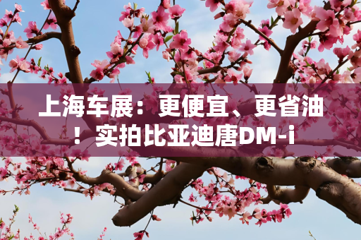 上海车展：更便宜、更省油！实拍比亚迪唐DM-i