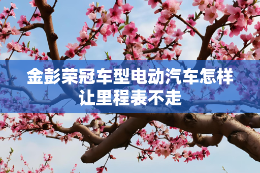 金彭荣冠车型电动汽车怎样让里程表不走