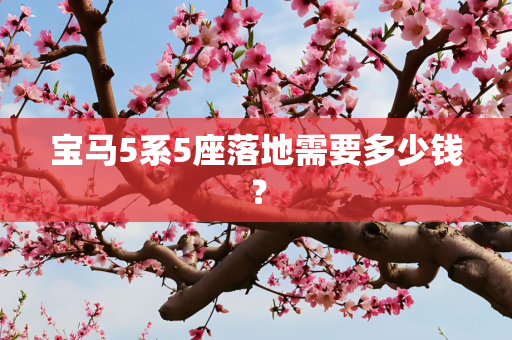 宝马5系5座落地需要多少钱？