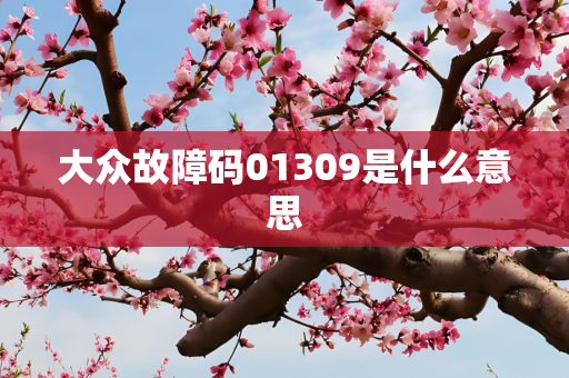 大众故障码01309是什么意思