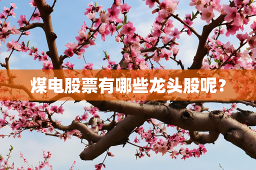 煤电股票有哪些龙头股呢？