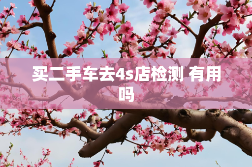 买二手车去4s店检测 有用吗