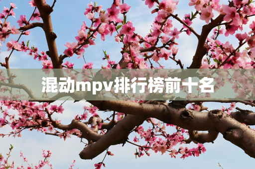 混动mpv排行榜前十名