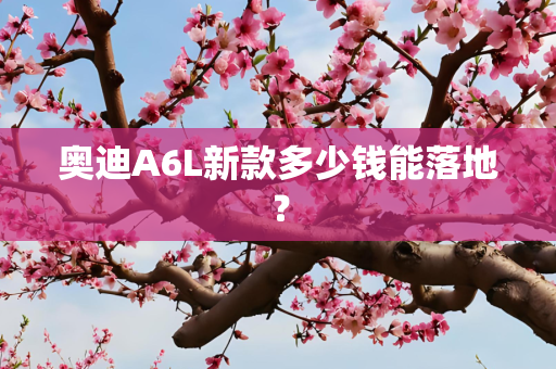奥迪A6L新款多少钱能落地？