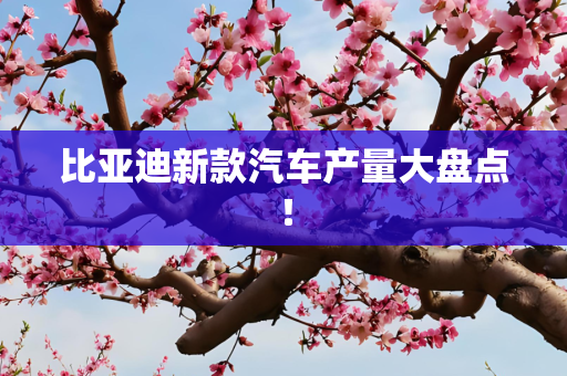 比亚迪新款汽车产量大盘点！