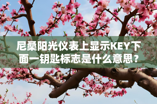 尼桑阳光仪表上显示KEY下面一钥匙标志是什么意思？