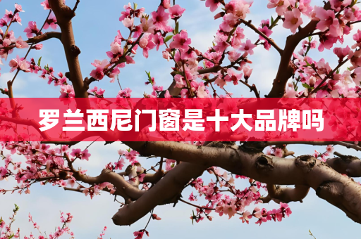 罗兰西尼门窗是十大品牌吗