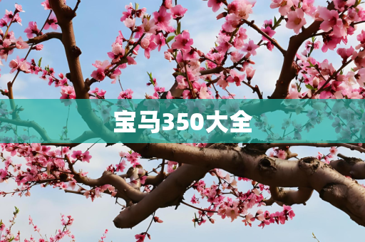 宝马350大全
