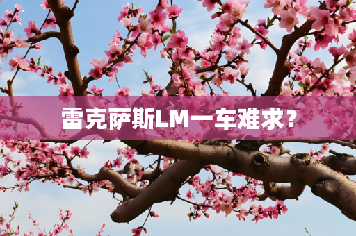 雷克萨斯LM一车难求？