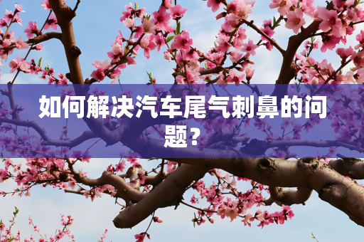 如何解决汽车尾气刺鼻的问题？