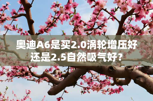 奥迪A6是买2.0涡轮增压好还是2.5自然吸气好？