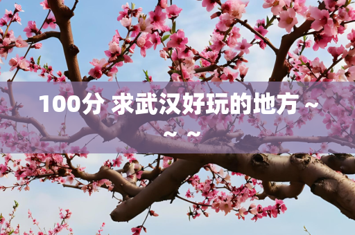 100分 求武汉好玩的地方～～～