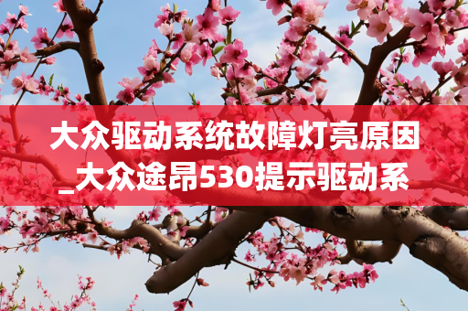 3838px 第1258页