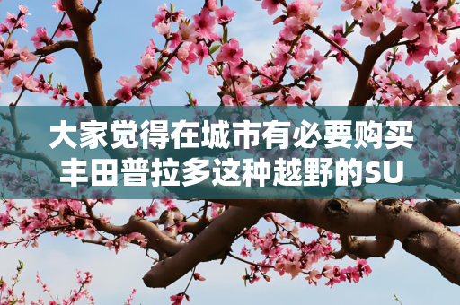 大家觉得在城市有必要购买丰田普拉多这种越野的SUV吗？
