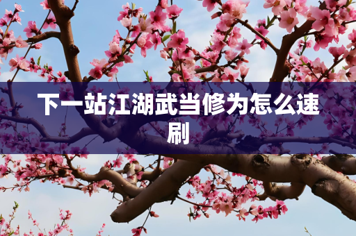 下一站江湖武当修为怎么速刷