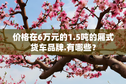 价格在6万元的1.5吨的厢式货车品牌.有哪些？
