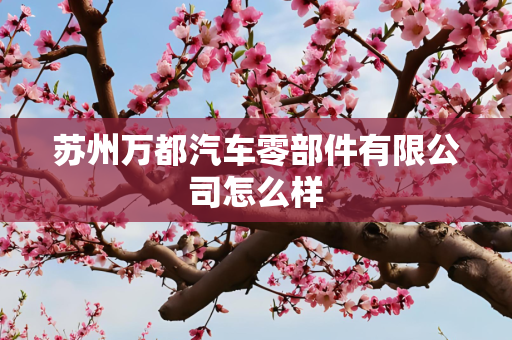 苏州万都汽车零部件有限公司怎么样