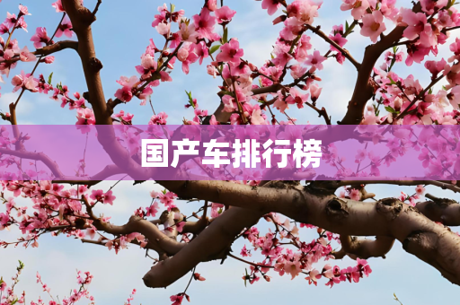 国产车排行榜