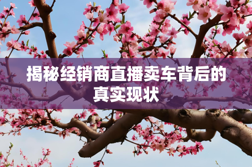 揭秘经销商直播卖车背后的真实现状