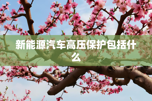 新能源汽车高压保护包括什么