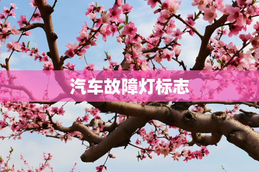 汽车故障灯标志