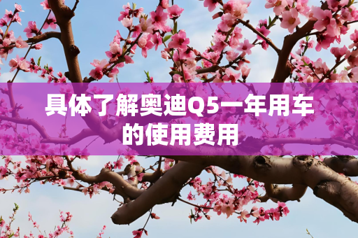 具体了解奥迪Q5一年用车的使用费用