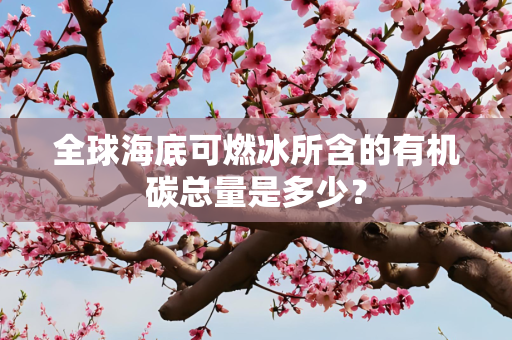 全球海底可燃冰所含的有机碳总量是多少？