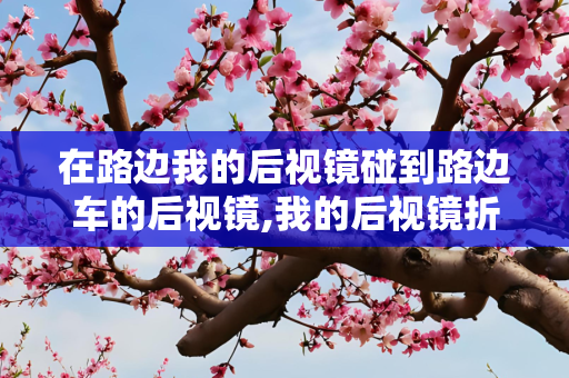 在路边我的后视镜碰到路边车的后视镜,我的后视镜折叠了,他的会坏吗