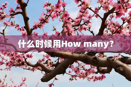 什么时候用How many？