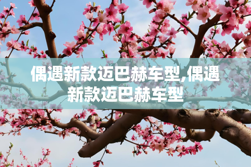 偶遇新款迈巴赫车型,偶遇新款迈巴赫车型