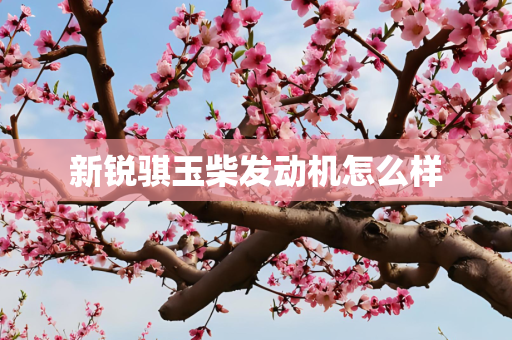 新锐骐玉柴发动机怎么样