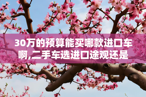 30万的预算能买哪款进口车啊,二手车选进口途观还是傲虎
